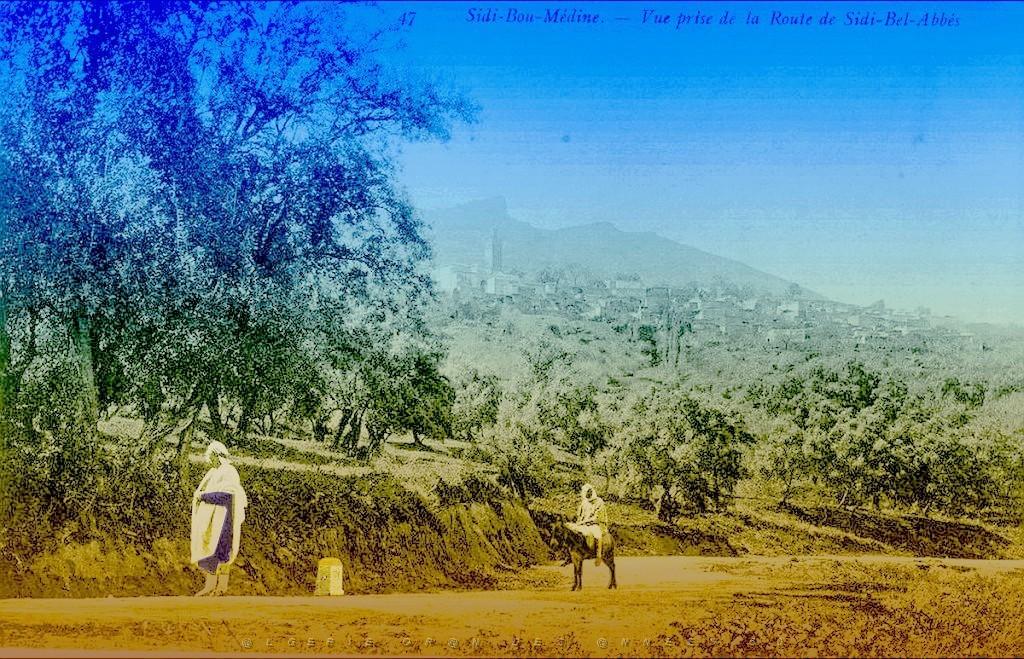 Tlemcen Environs 002.jpg